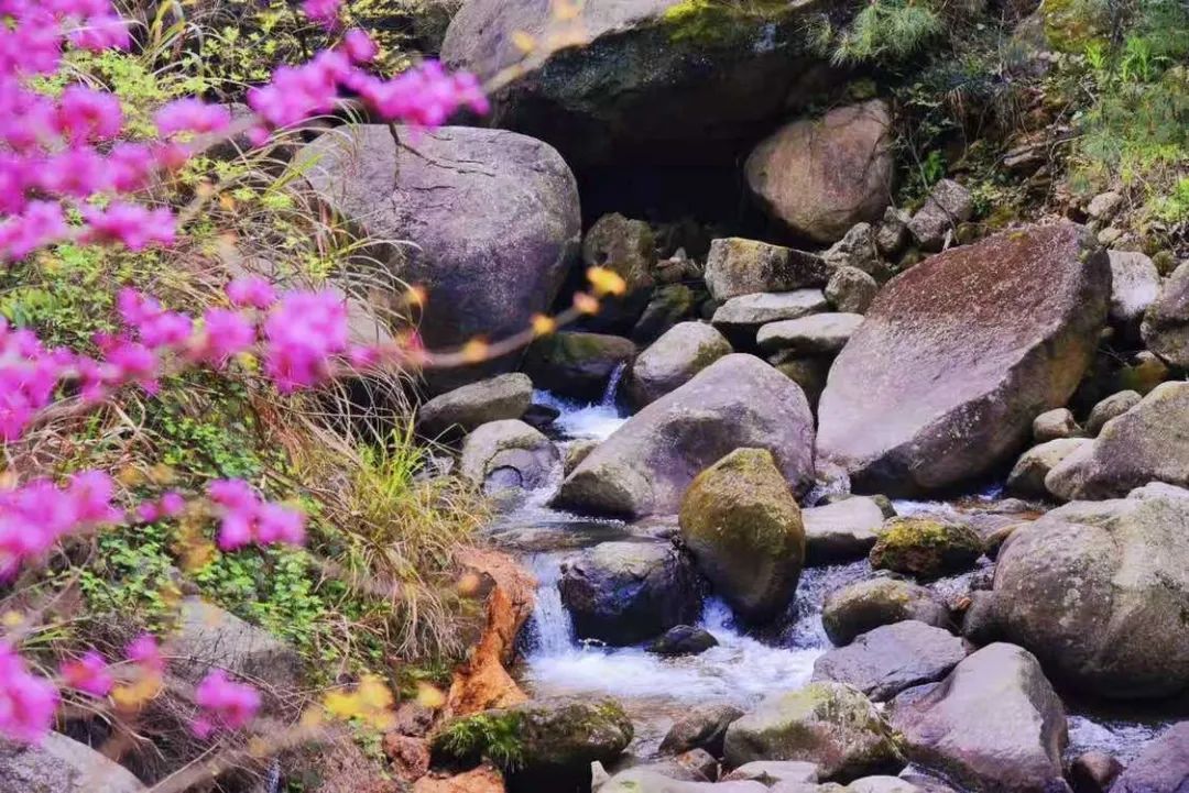 1xBET·Signup(中国区)-官方网站